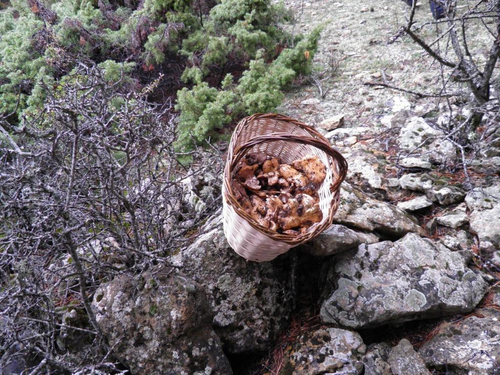 Hotel Torres de Albarracín Kültér fotó